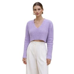 Zara Purple Lilac Striped Knit V-Neck Cropped Sweater  XS Pastel